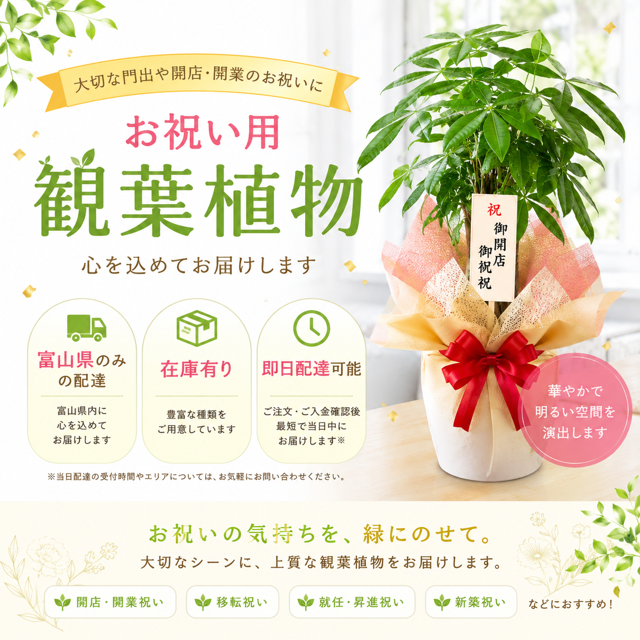 お祝い用観葉植物