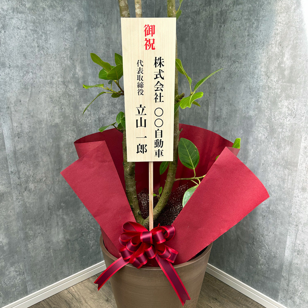 【立札・ラッピング】観葉植物Ｌ、Mサイズ用