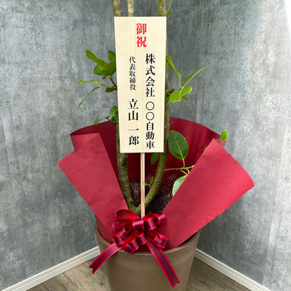 【立札・ラッピング】観葉植物Ｌ、Mサイズ用